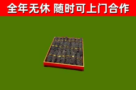博乐回收海参